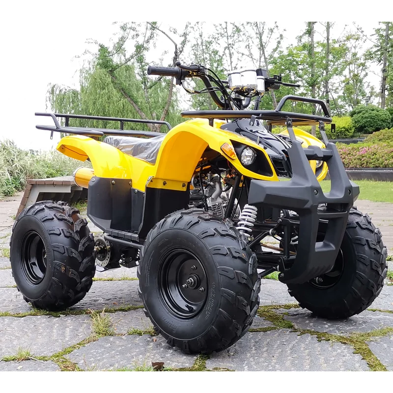 Factory Direct Fashion 125cc Motorcycle Adult Quad Bike ATV