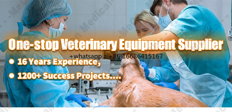 Veterinary Grooming And Pet Dryer Machine Box Automatic Cabinet