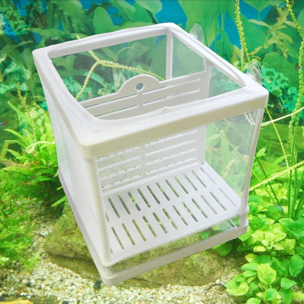 Aquarium Hatchery Fish Tank Incubator Net With Suction Cup Fish Isolation Breeding Net Box For Baby Fishes Clownfish Guppy White