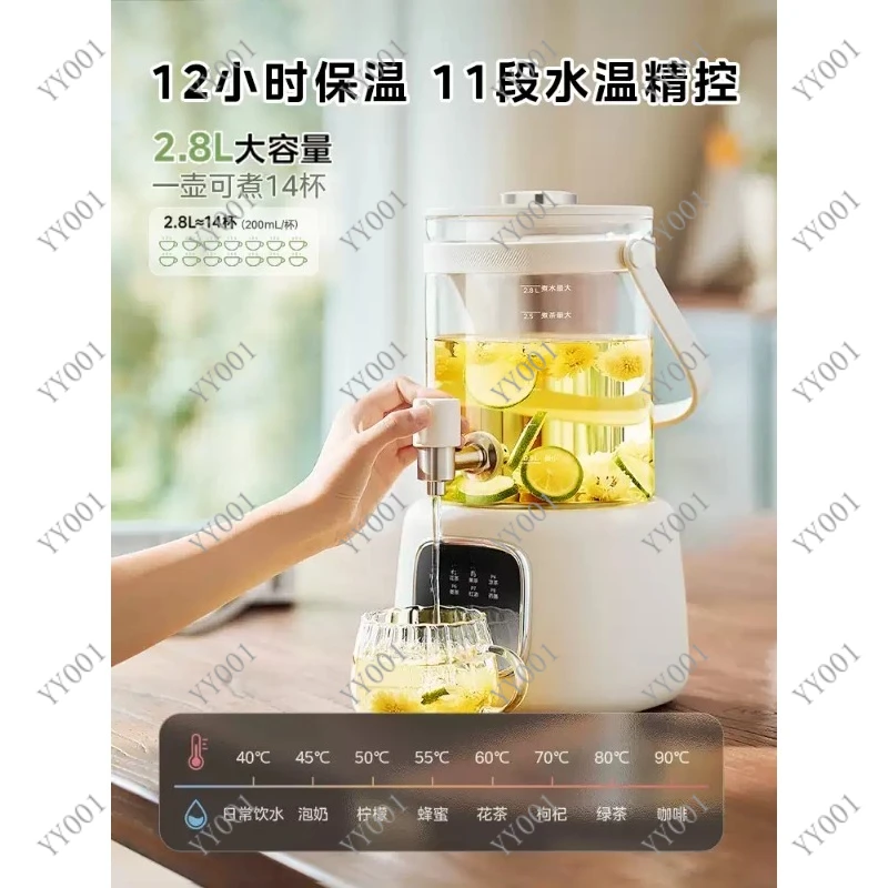 Full Glass Health Pot, Constant Temperature Multi-Functional Small Tea Maker for Home & Office