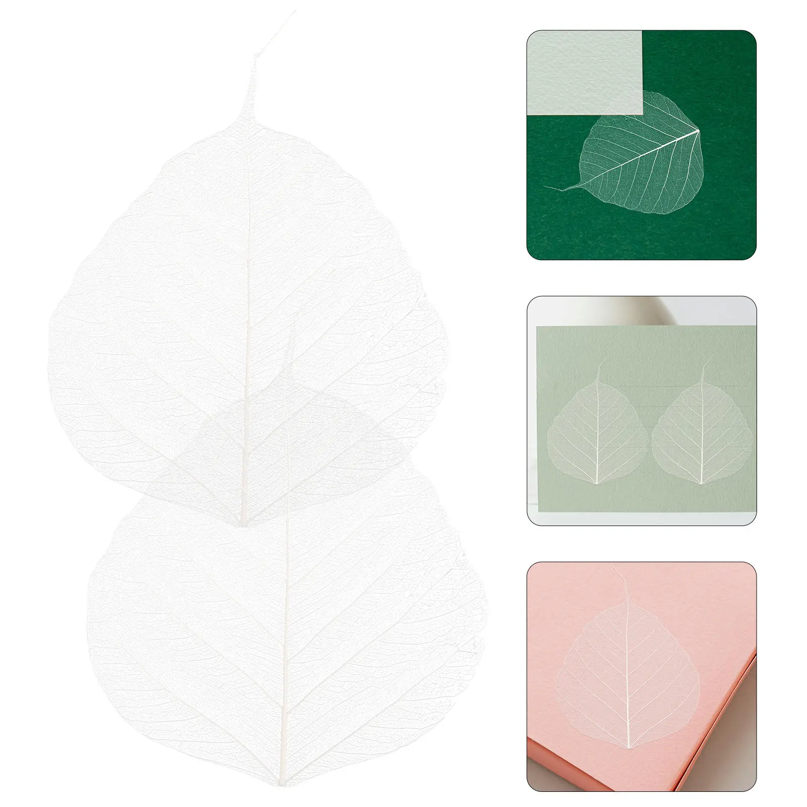 20-pecas-de-folhas-secas-para-marcadores-de-pagina-materiais-para-artesanato-diy-scrapbooks-e-decoracao-de-cartoes