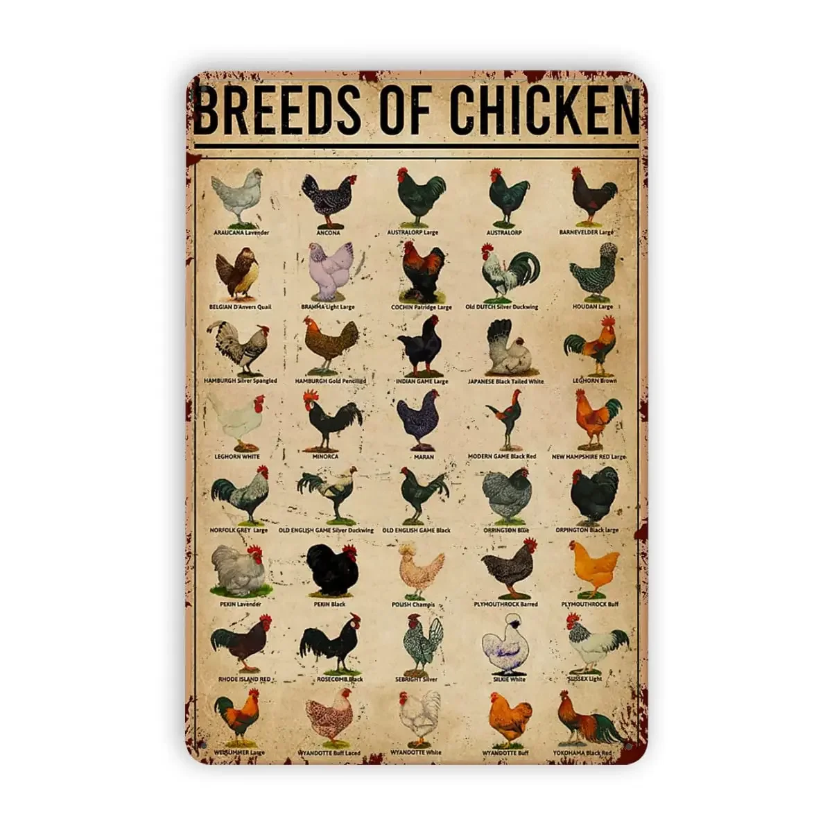 Металлические оловянные знаки для пород цыплят, жестяной знак, фотозначок в виде животного, знания о домашнем декоре, алюминиевый знак, подарок 8