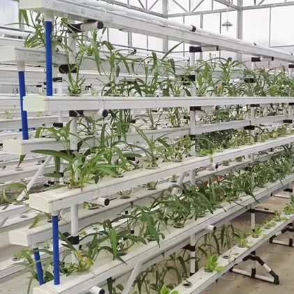 Agricultural Vertical Hydroponic System Channel Hydroponics Growing System Supplier Vertical Farm Nft Lettuce Plant