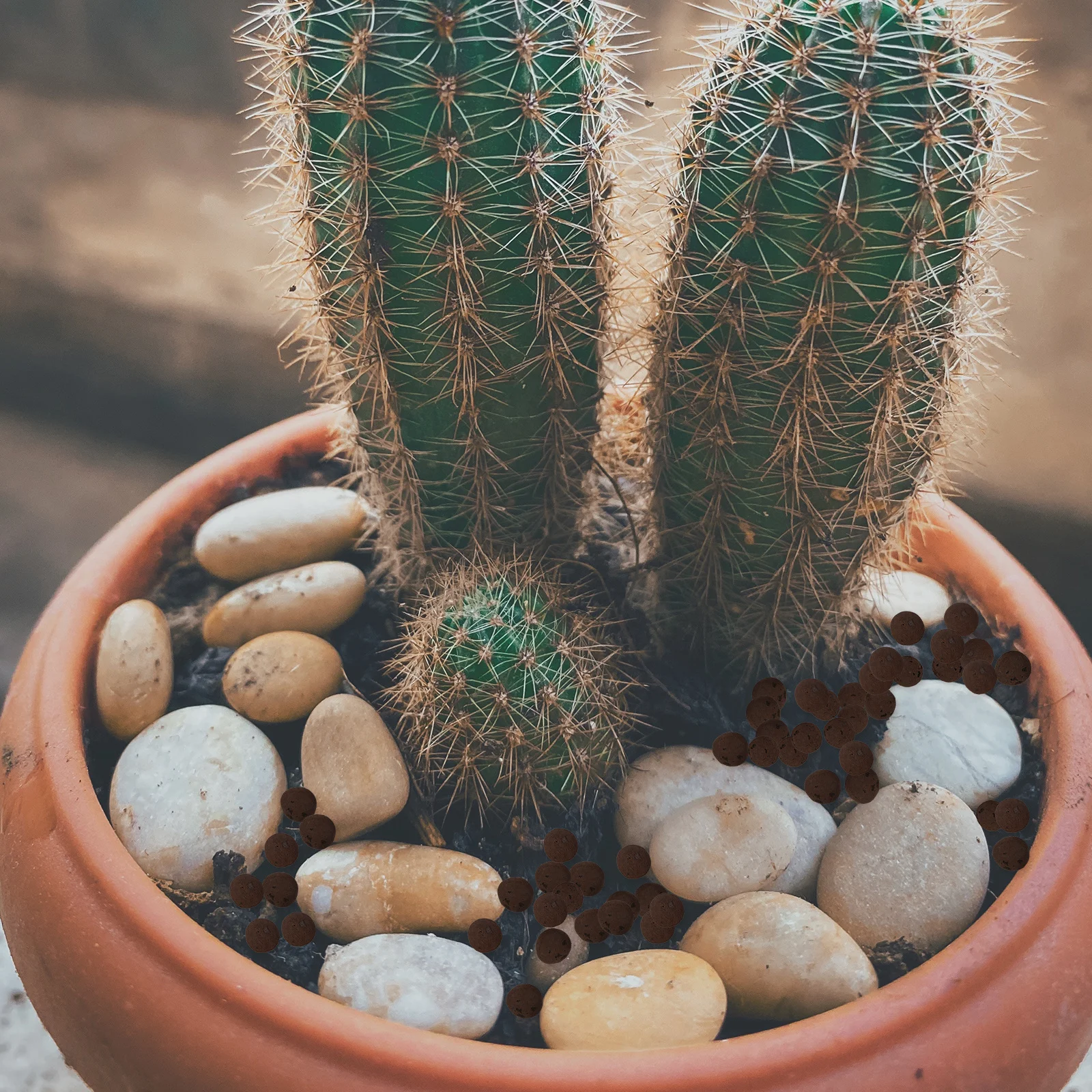 

2 Bags Water Cultivation Clay Pebbles Premium Ceramsite For Flower Planting Supplies Garden Tool Home Office Decor Soil