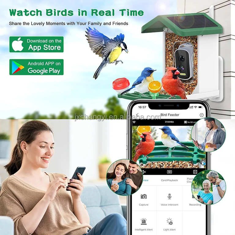 hit productFactory OEM Auto Identifier Live View WIFI Smart AI Bird Feeder with 4K HD Camera Solar Powered
