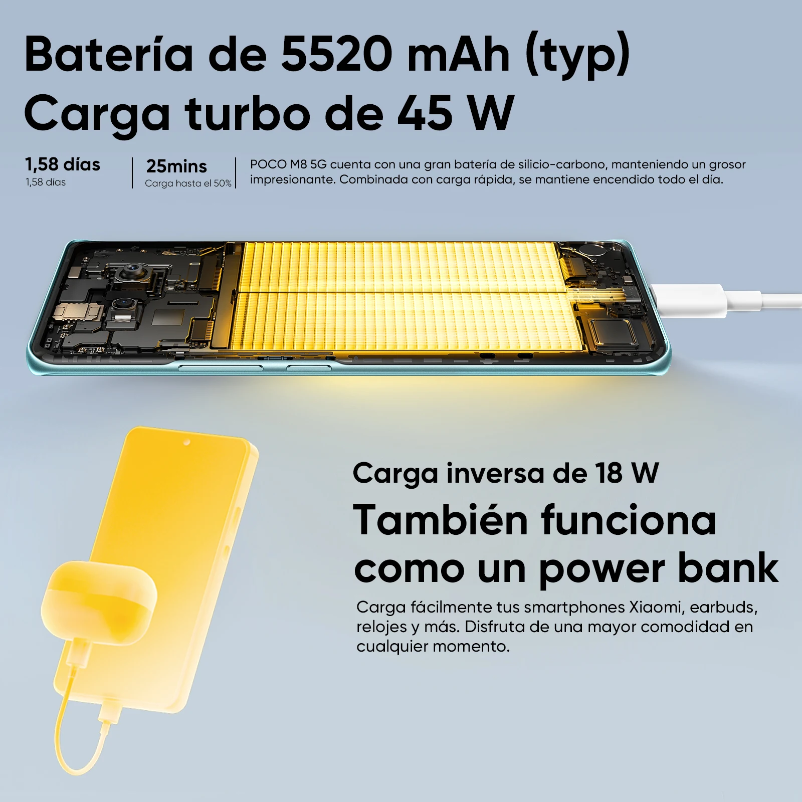 Imagen 5