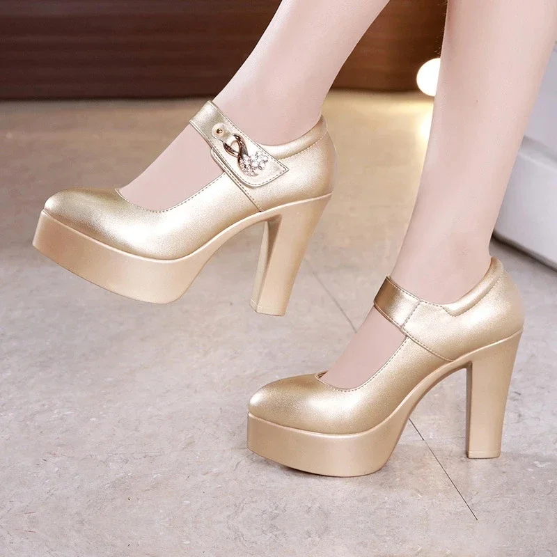 Block Heels Gold Silver Wedding Shoes Women Pumps 2023 Rhinestone 10cm High Heel Shoes Ladies Party Dress Shoe 34 41 42 43 44