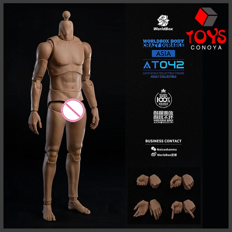 

In Stock Worldbox AT042 1/6 Asian Male Flexible Joint Body Durable Soldier Narrow Shoulder Action Figure Body Doll Model