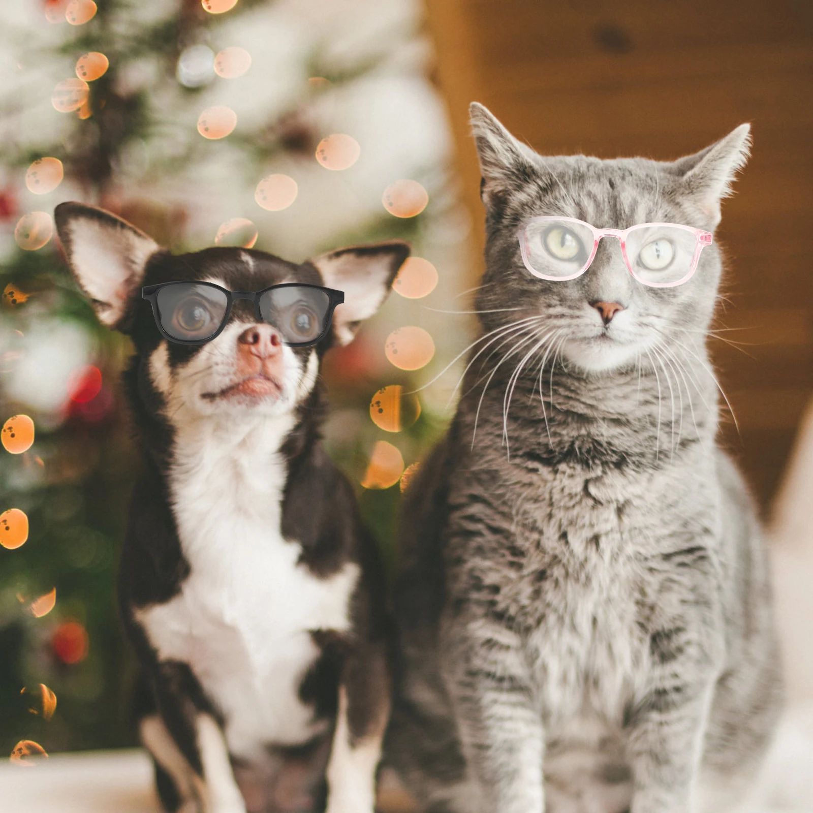 

4 Pcs Glasses Pet Sunglasses Cat Cute Cosplay Props Small Dog Decorative & Eyewear