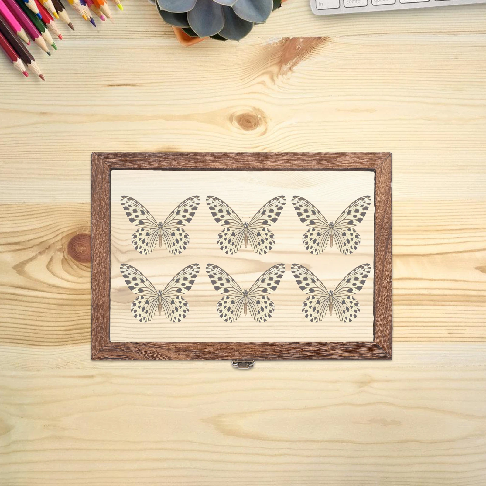 

Wooden Specimen Display Box Large Capacity Waterproof Storage Box for Butterfly Preservation Kit Tools Parts