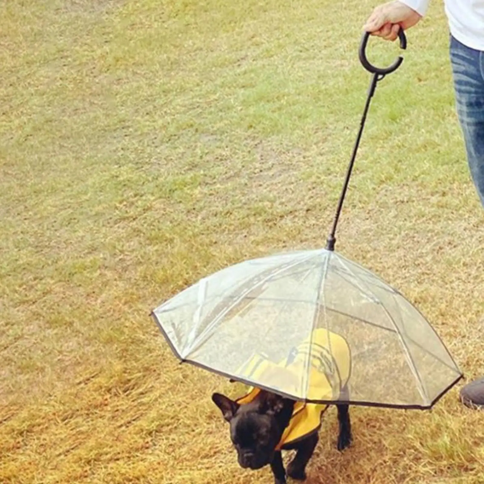 Dog Umbrella with Leash Dog Dry Walking Waterproof Sleet Snow Rain Raincoats