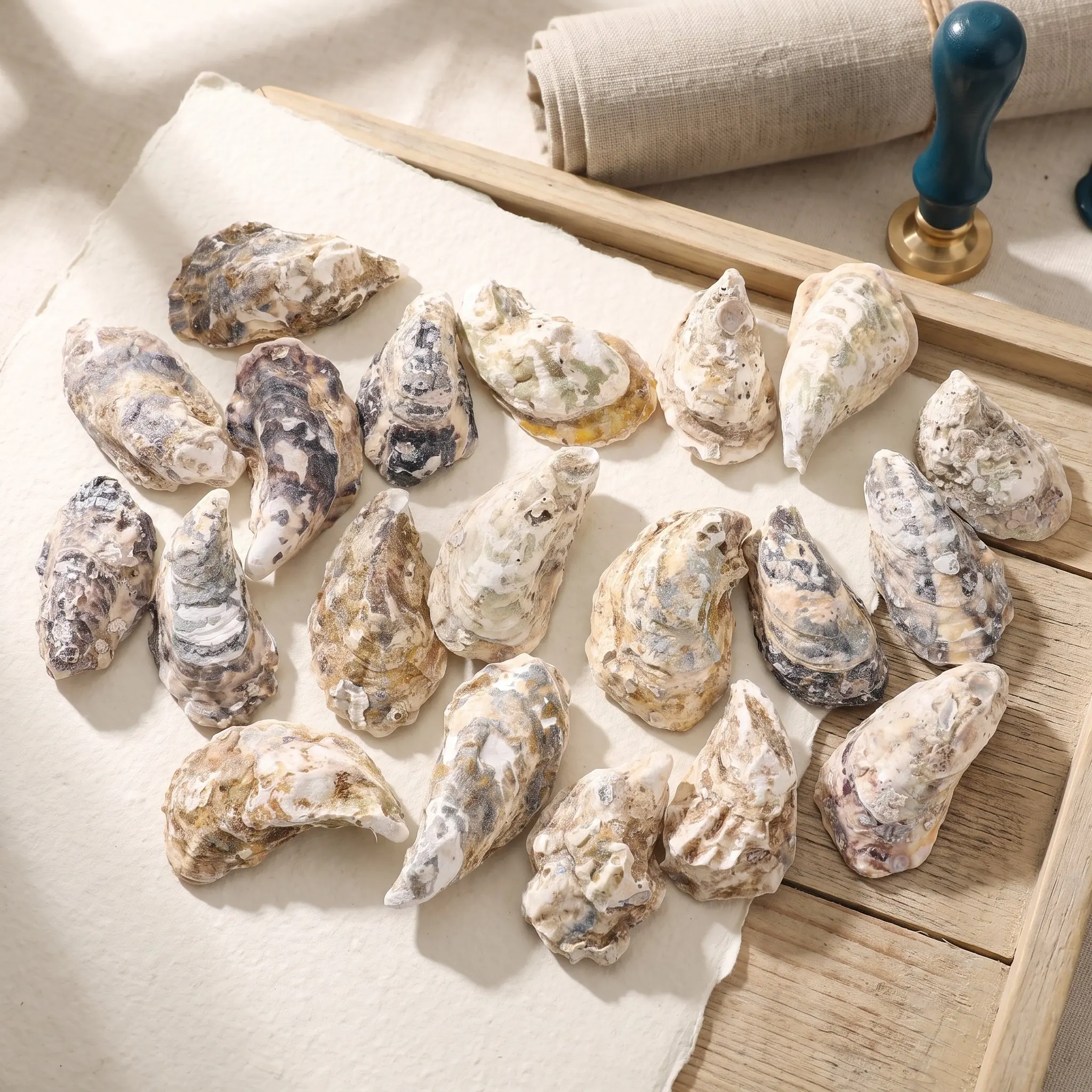 20pcs Natural Oyster Shells Large Flat Seashells DIY Crafts Painting Decoupage Shells Nautical Beach Decor Jewelry Making