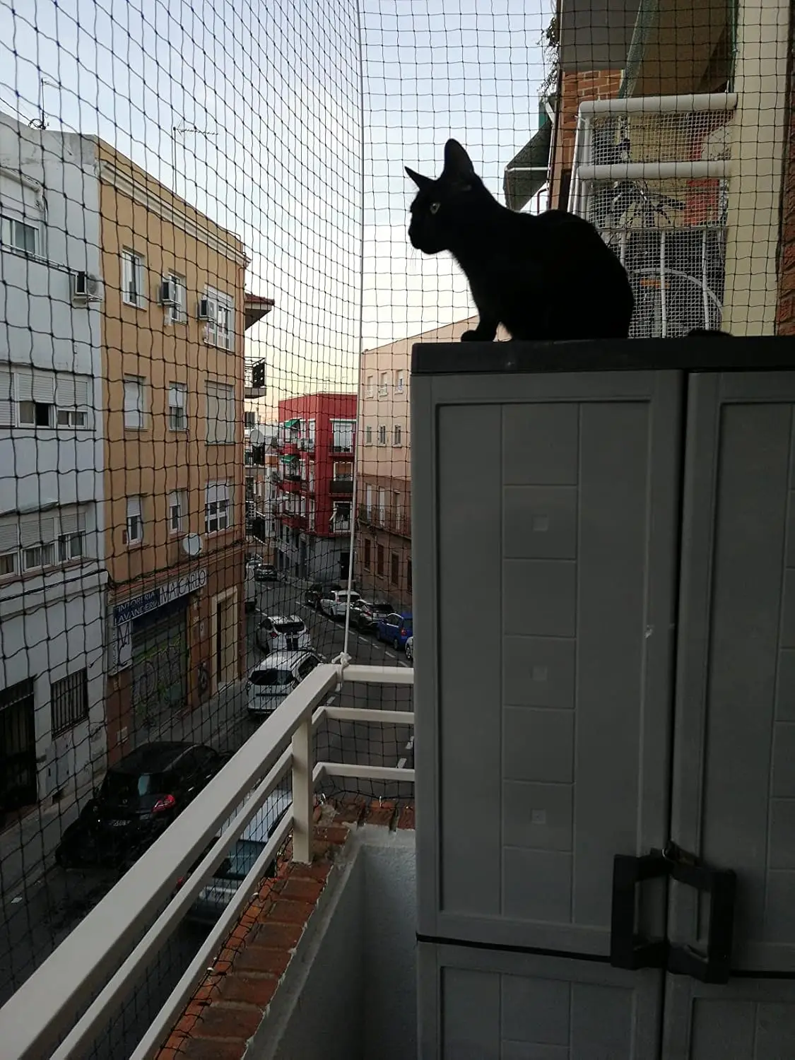Stahldrahtverstärktes Katzennetz für Balkon, Katzen-Anti-Fall-Netz, Gartennetz, Anti-Vogel-Netz mit Draht für Fenster, Treppenrasen – Detail 7