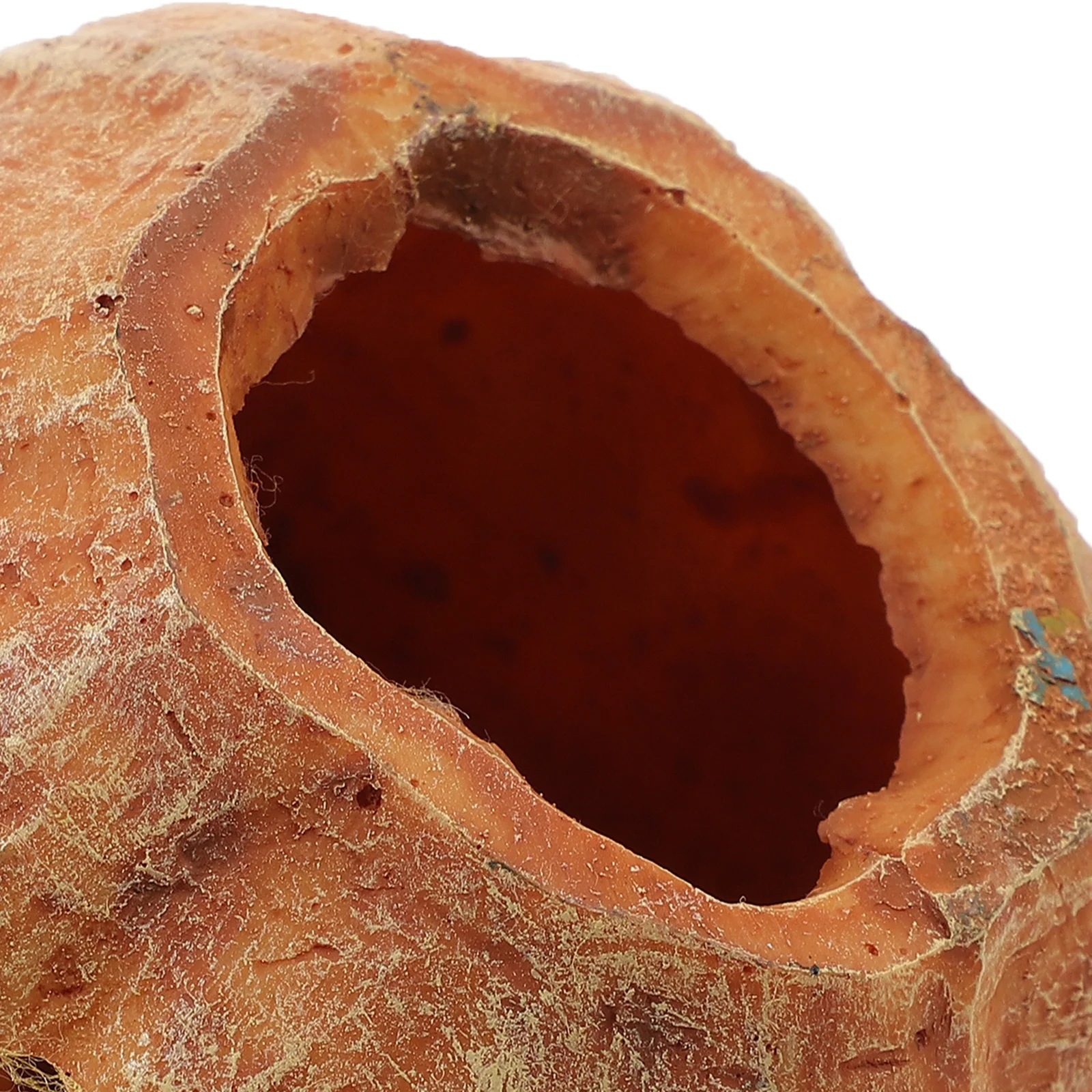 

Reptile Shelter Cave Resin Made Natural Look Hiding Spot for Tortoise Lizard Snakes Frogs Pets Crawl Box Landscape Decor