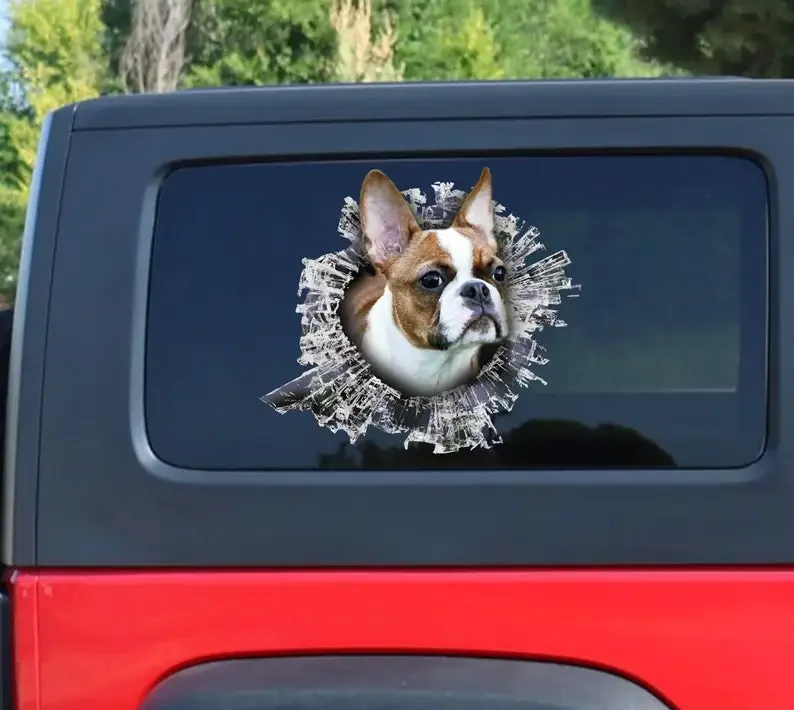 Fawn Boston Terrier window sticker, Boston Terrier car sticker