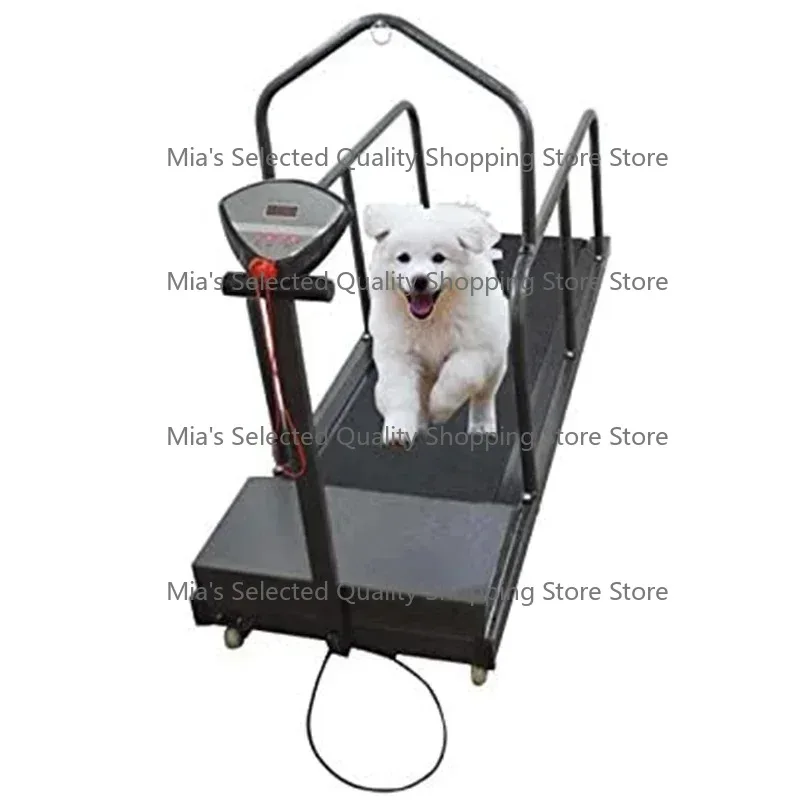 Dog Treadmill Pet Exercise Equipment for Canine Running 220V/110V