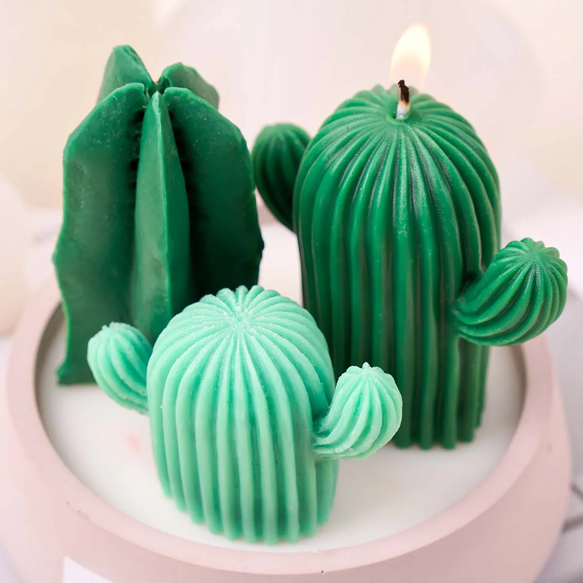 3D Cactus Aromather…