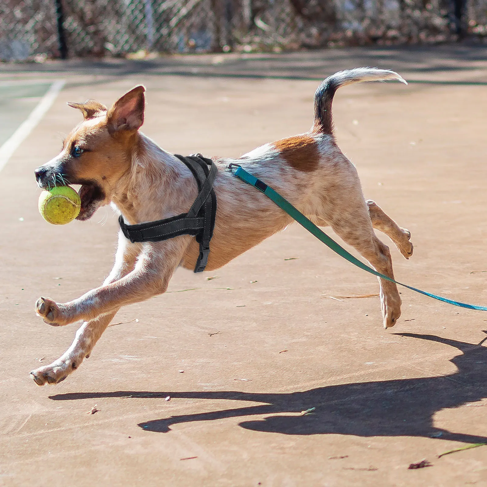 

Pet Puppy Outdoor Harness Comfortable Vest Soft Nylon Durable Traction Vest With Hanging Loop For Small Dogs Safe Stylish Pet