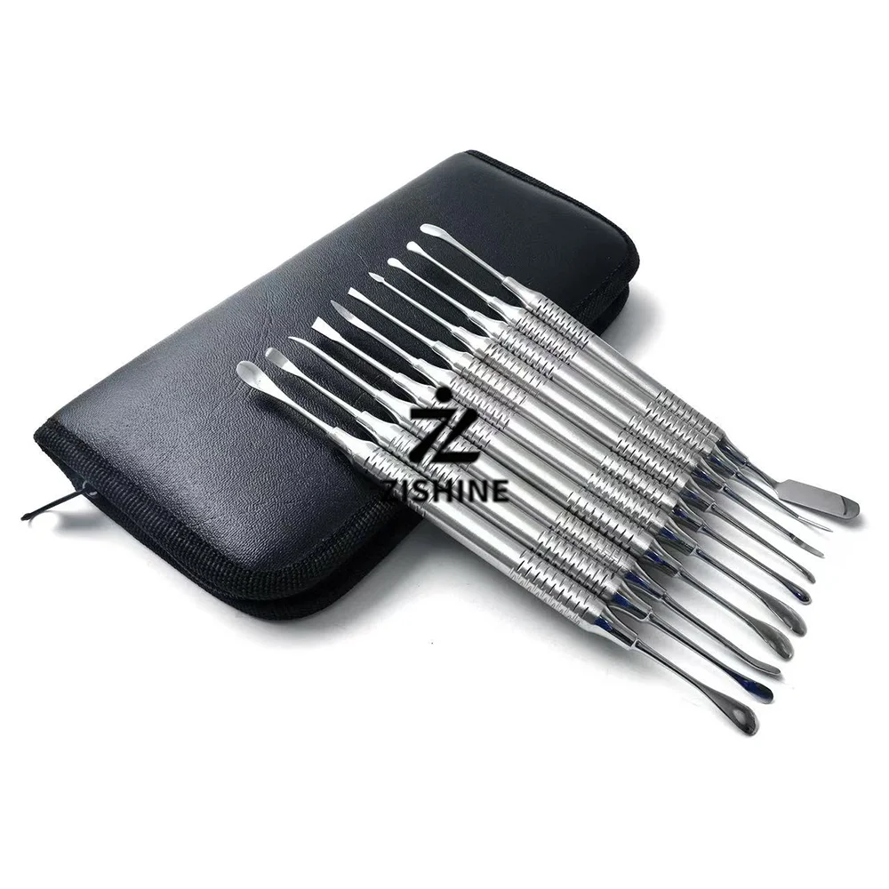 10Pcs/Set Dental Periosteal Elevators Stainless Steel Double Ended Flap Elevator Implant Oral Surgery Tools with Zipper Case