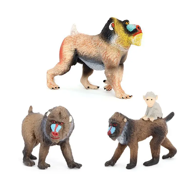 نموذج محاكاة الحياة البرية للأطفال، لعبة حيوانات ماندريل شبح بابون، لعبة تنوير القرد، هدية معرفية