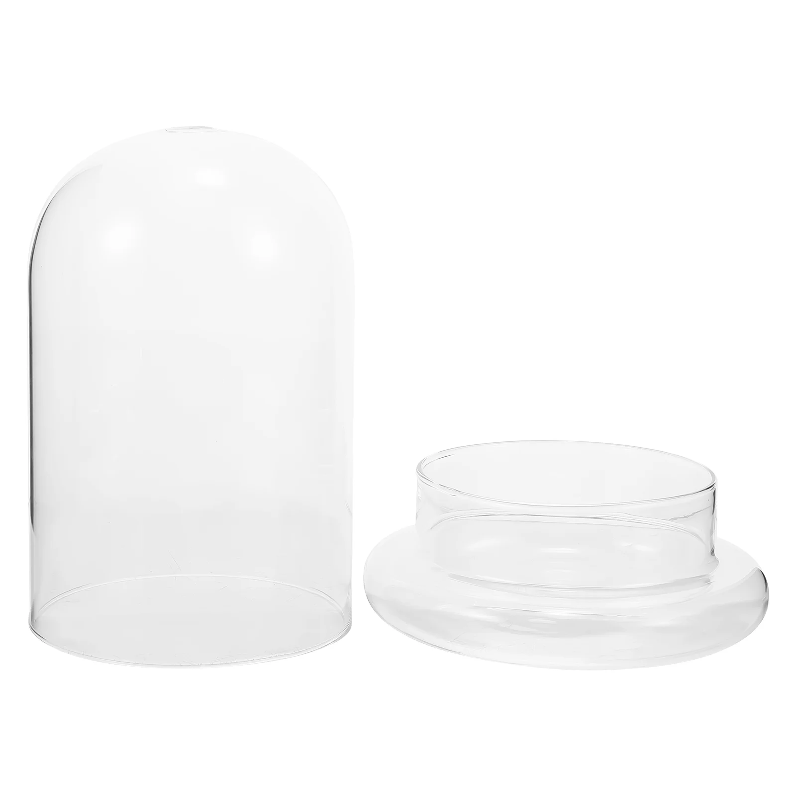 

Plants Moss Eco Bottle Clear Glass Cloche Dome Table Display Transparent Ecological