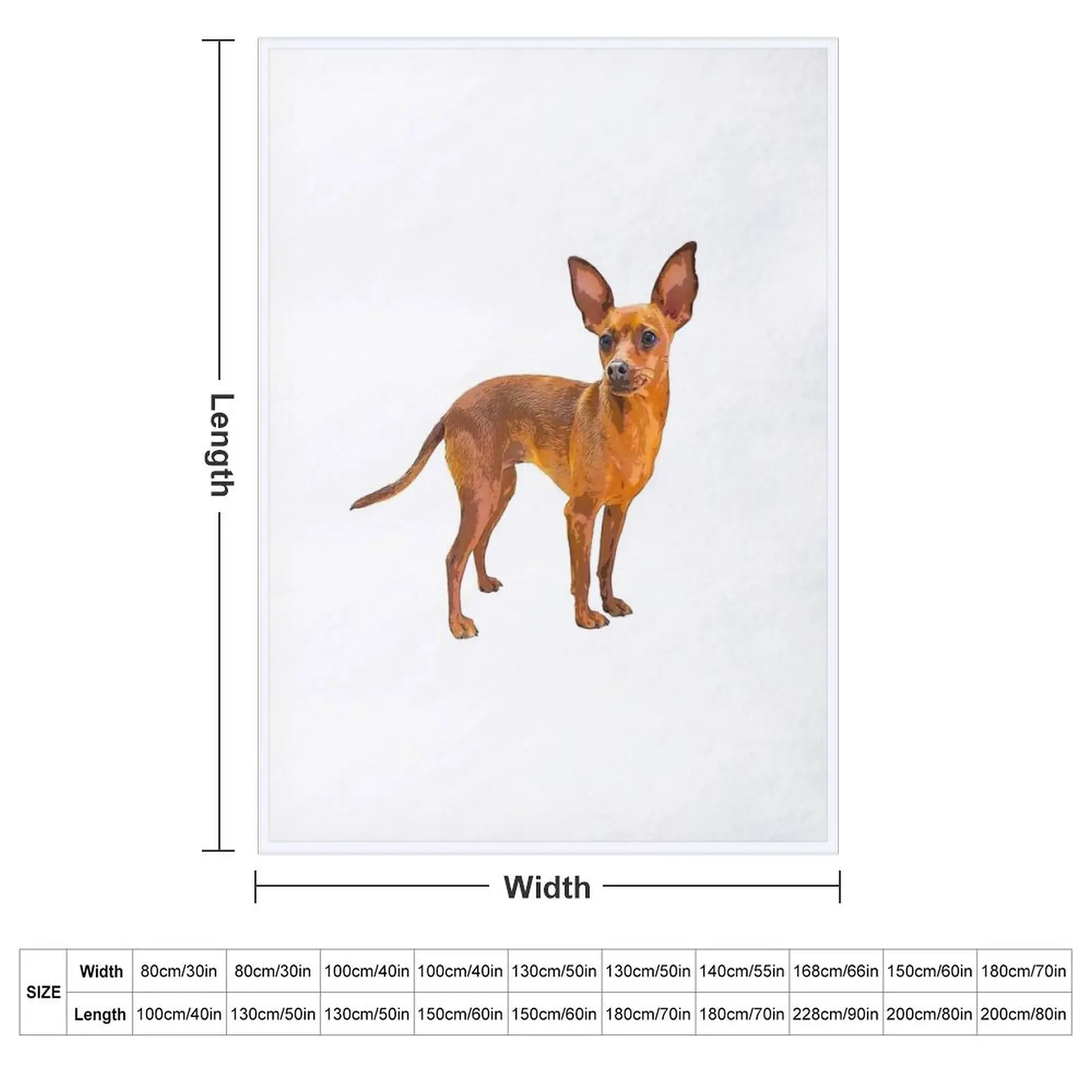 Miniature Pinscher Red Cute Puppy Dog Throw Blanket anime wednesday Sofa Throw Luxury Thicken Quilt Hairy Blankets
