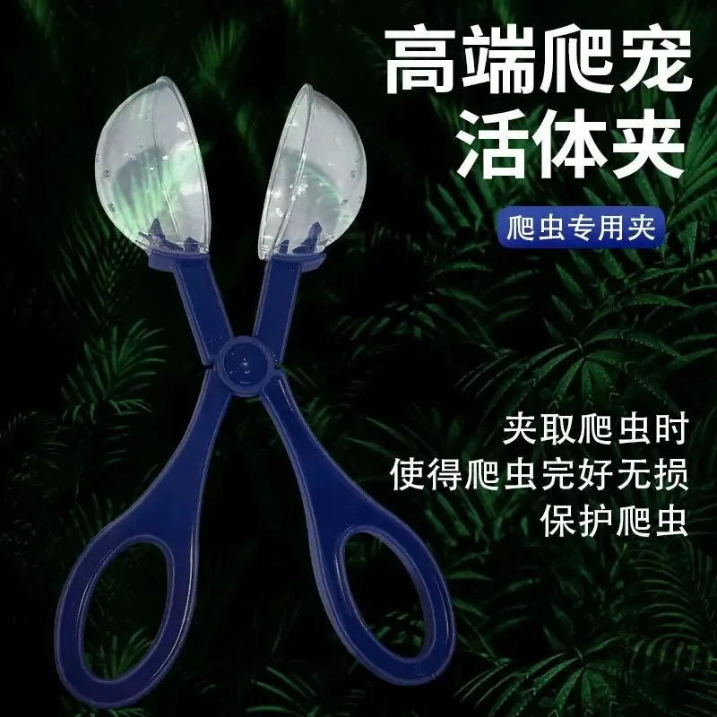 Insects Dubia Cockroaches Crickets Catch Tweezers Crawling Pet Lizards Guardian Spiders Feeding Clips Clear Manure