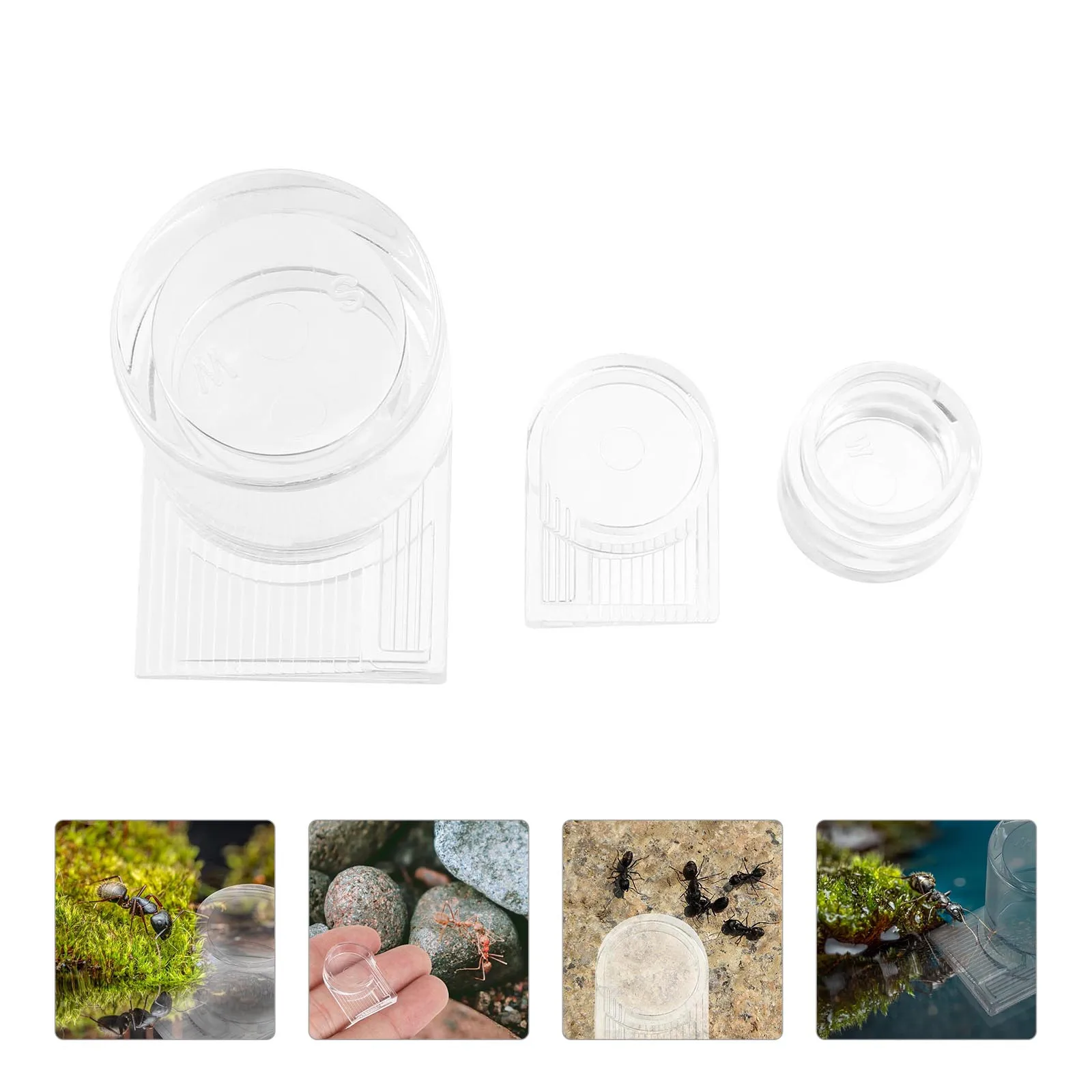 

2 pcs Ant Water Feeder Acrylic Insect Bowl Durable Easy Cleaning Practical Design Nest Pet Supplies Feeding Tool