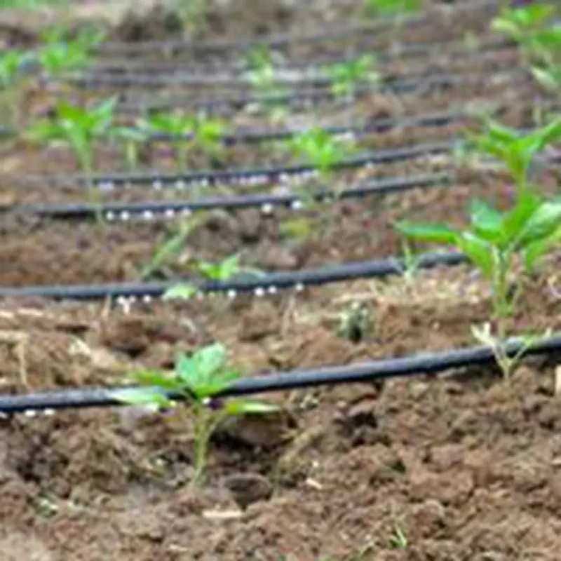 20/ 40/ 100 Meters 16mm Thickness, 30cm Dripper Space Agriculture Irrigation Drip Tape Greenhouse Watering System