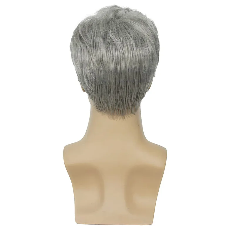 Sylhair Men Wigs Short Silver Gray Wig Male Guy Short Layered Cosplay Costume Party Synthetic Heat Resistant Natural Hair