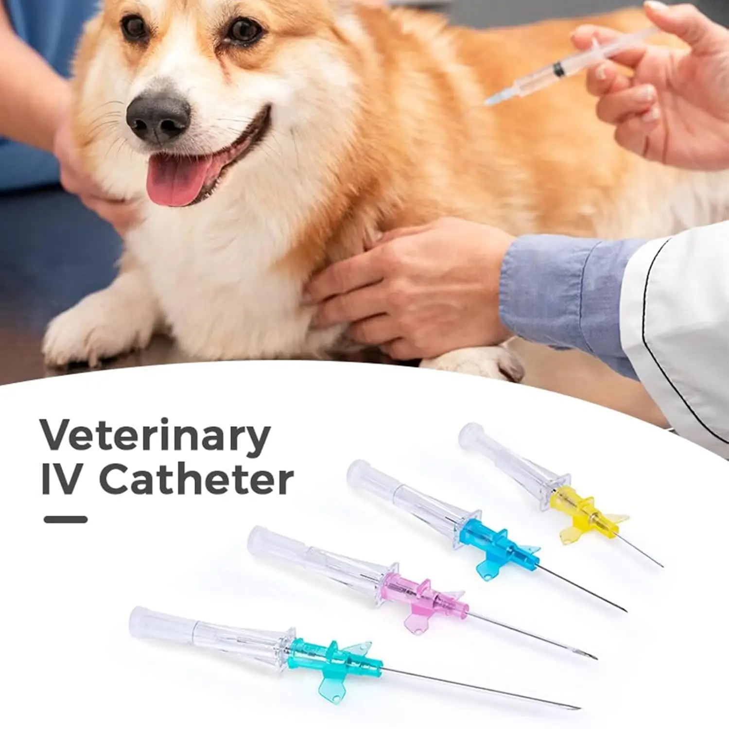 

50 шт. одноразовые внутривенные литьевые катетер с крышкой Heparin 22 г 24 г 26 г для ветеринарных постачателей домашних животных