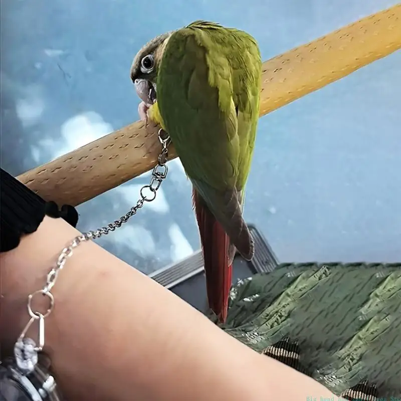 581C Bird Training Cord for Pet Birds with 75 Line, Spring Clip Connection, and 10 Chain Section for Controlled Outdoor Practice