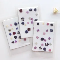 40pcs/lot,Mini Beauty Cherry pressed flower petals,Genuine Dry Flower DIY Drop Glue phone case Bookmark Photo Frame facial decor