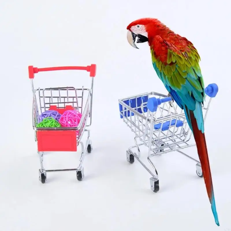 57be Bird Mini Trolley Basketball Scatebing Rings