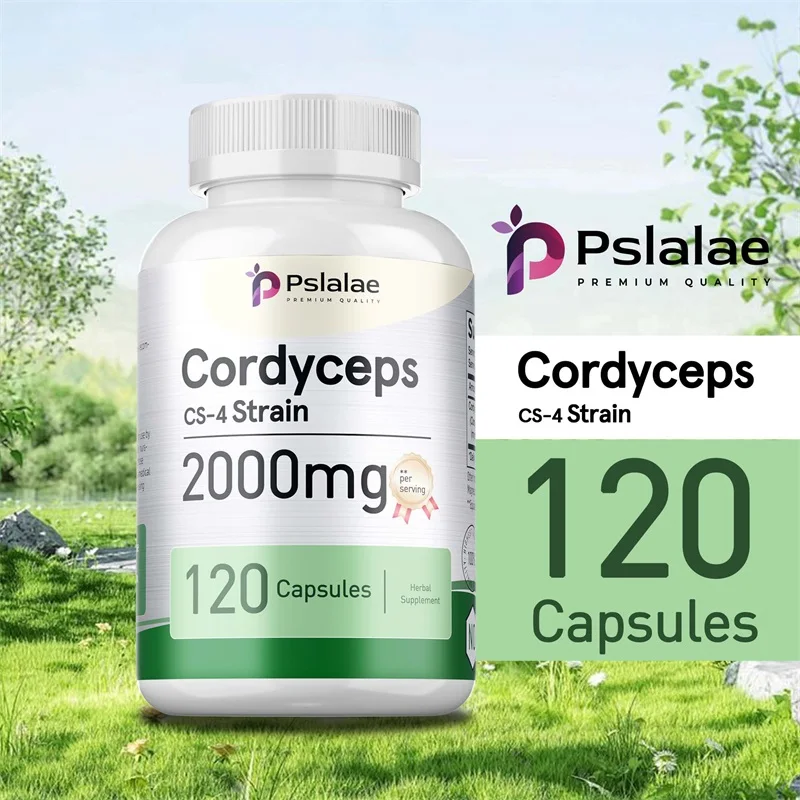 

Cordyceps Capsules - Energy & Endurance Boost, Immune & Brain Support, Enhance Memory and Concentration