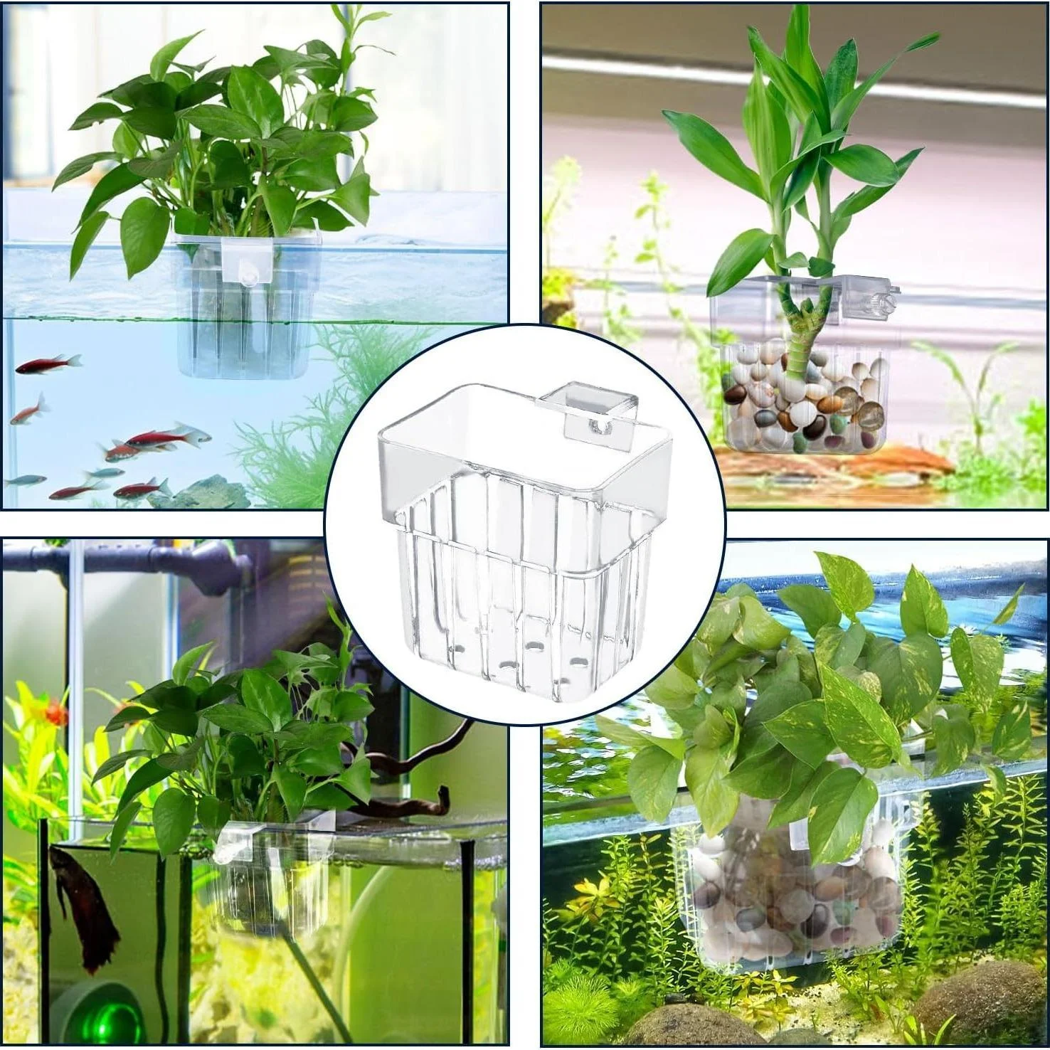 Clear Acrylic Aquarium Plant H - Aquarium Planted Wall ulasan dan harga