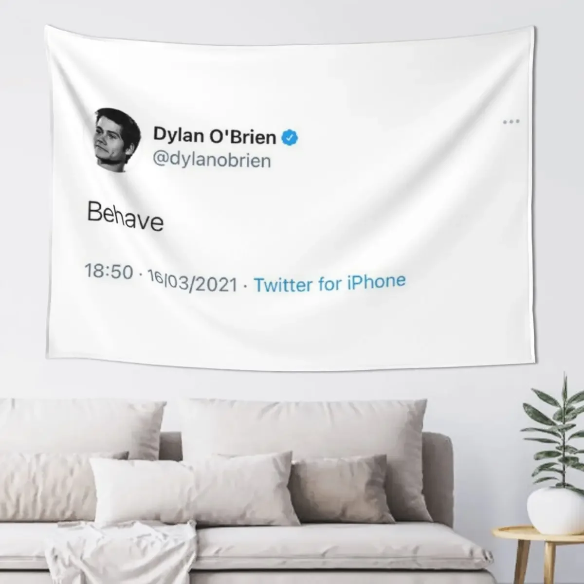 dylan o’brien behave tweet Tapestry Room Decoration Aesthetic Home Decorations Aesthetic Wall Decorations Tapestry