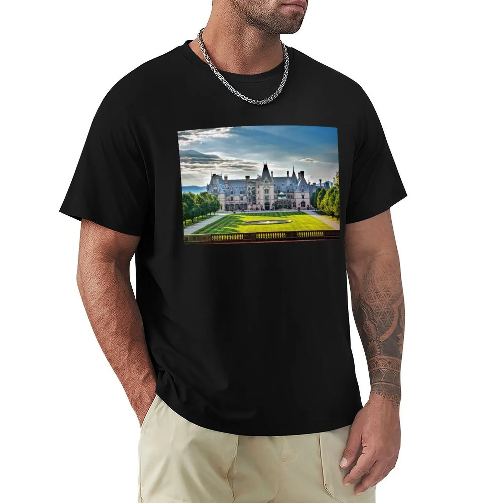 

The Biltmore House T-Shirt plus size tops Anime t-shirt graphic t shirt vintage street wear mens graphic t-shirts anime