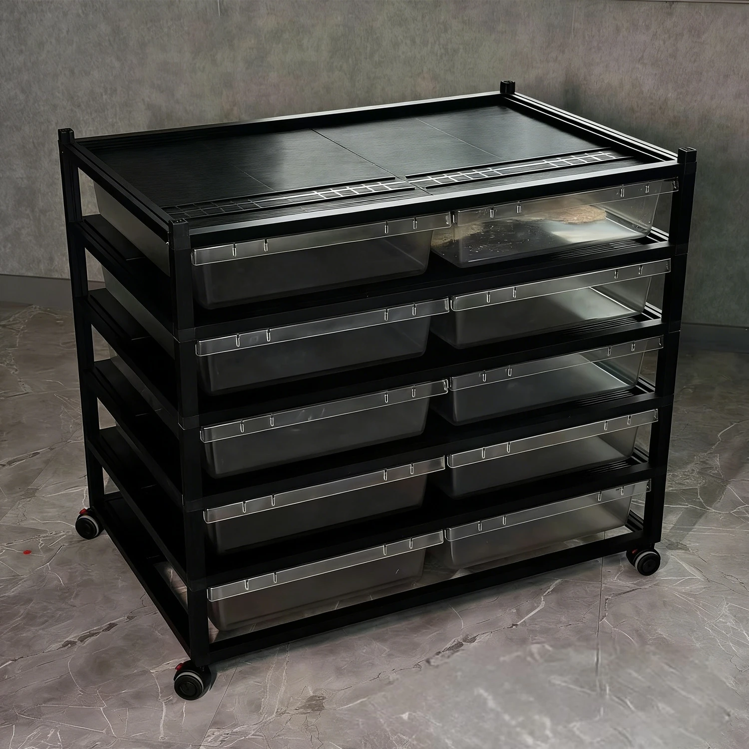 Wholesale Flat Pack Reptile Rack Easy Assembly No Tools Required Ready Stock Ship Within 14 Days Flat Pack Reptile Rack
