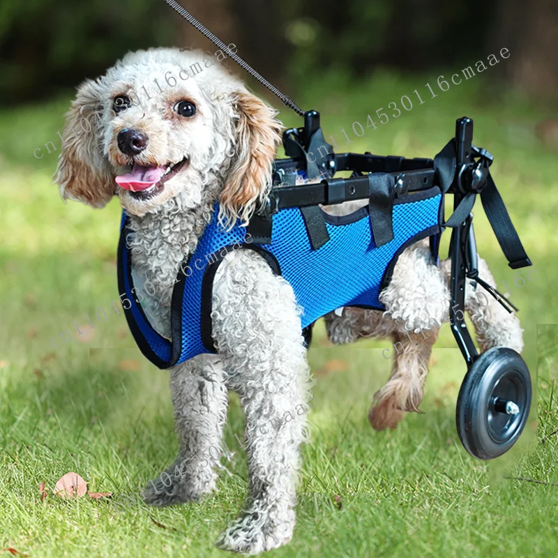 2 Wheels Small Dog Canine Wheelchair Carts Back Leg Wheelchair for Dogs French Bulldog Wheelchair