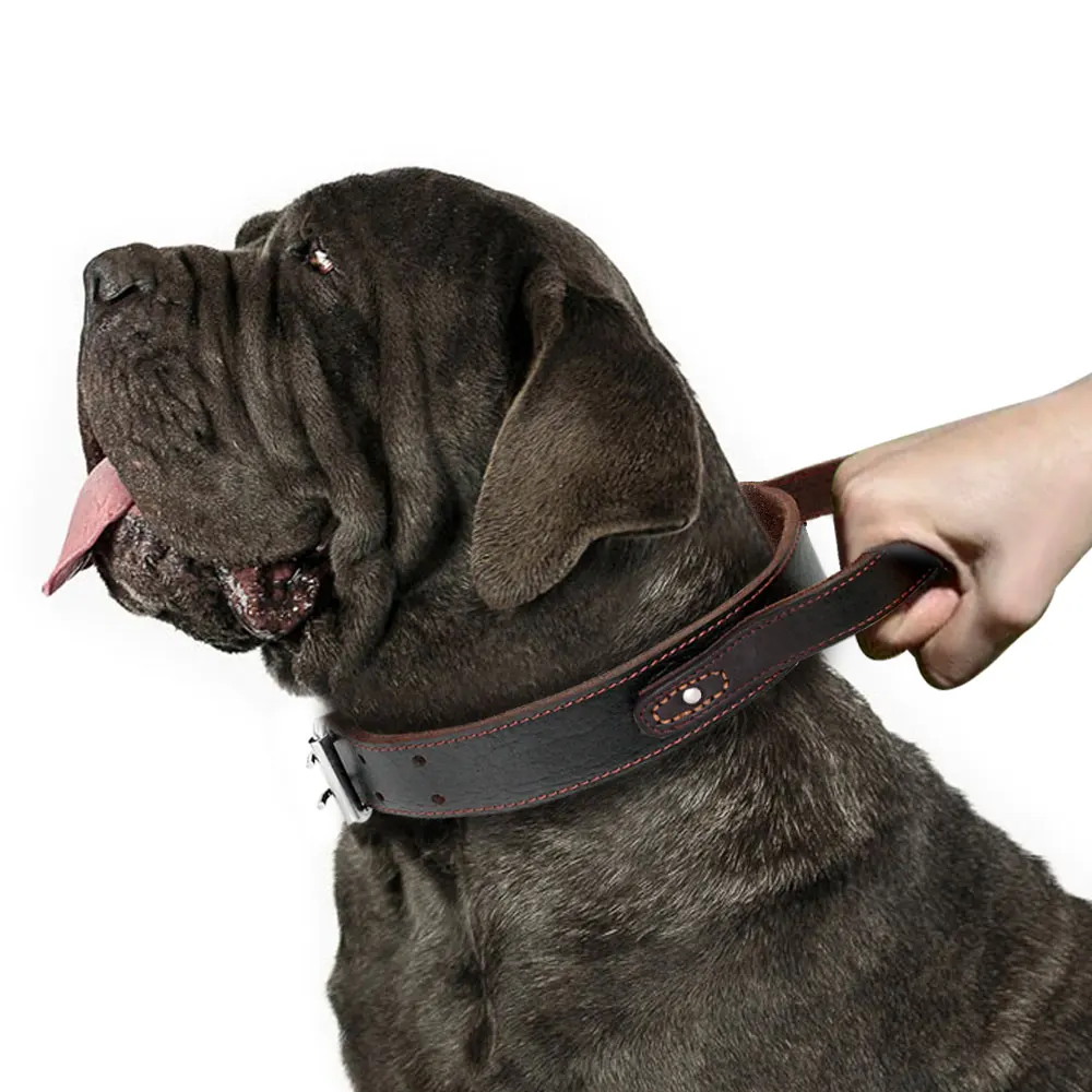 Genuine Leather Dog Collar Durable Real Leather Training Collars For Medium Large Dogs Pets Pitbull With Quick Control Handle