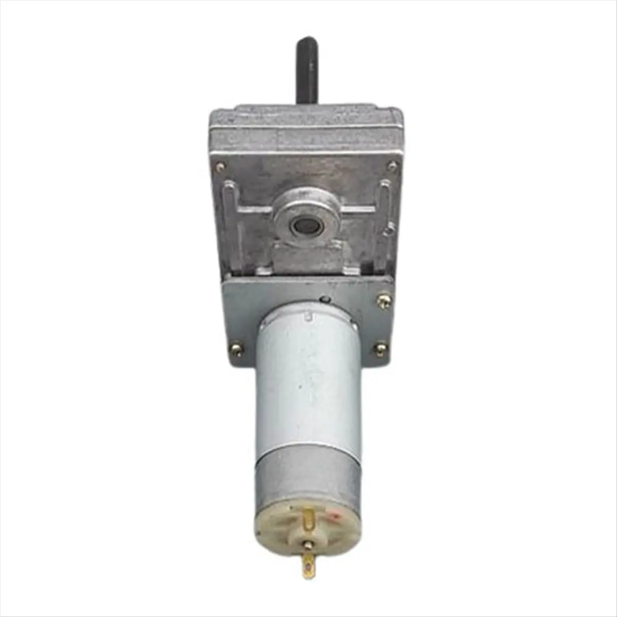 SCLS 555 Metal Gear DC Motor 12V 24V High Torque Motor Low Noise for DIY Projects