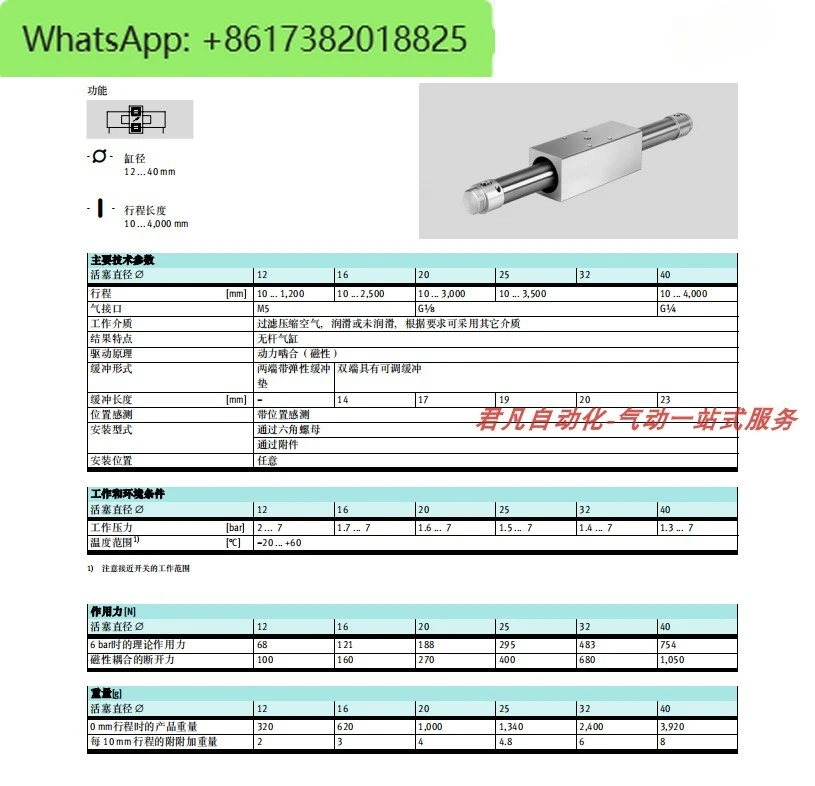 اسطوانة بدون قضيب DGO-25-100-200-300-350-400-500-600-900-PPV-A-B #5