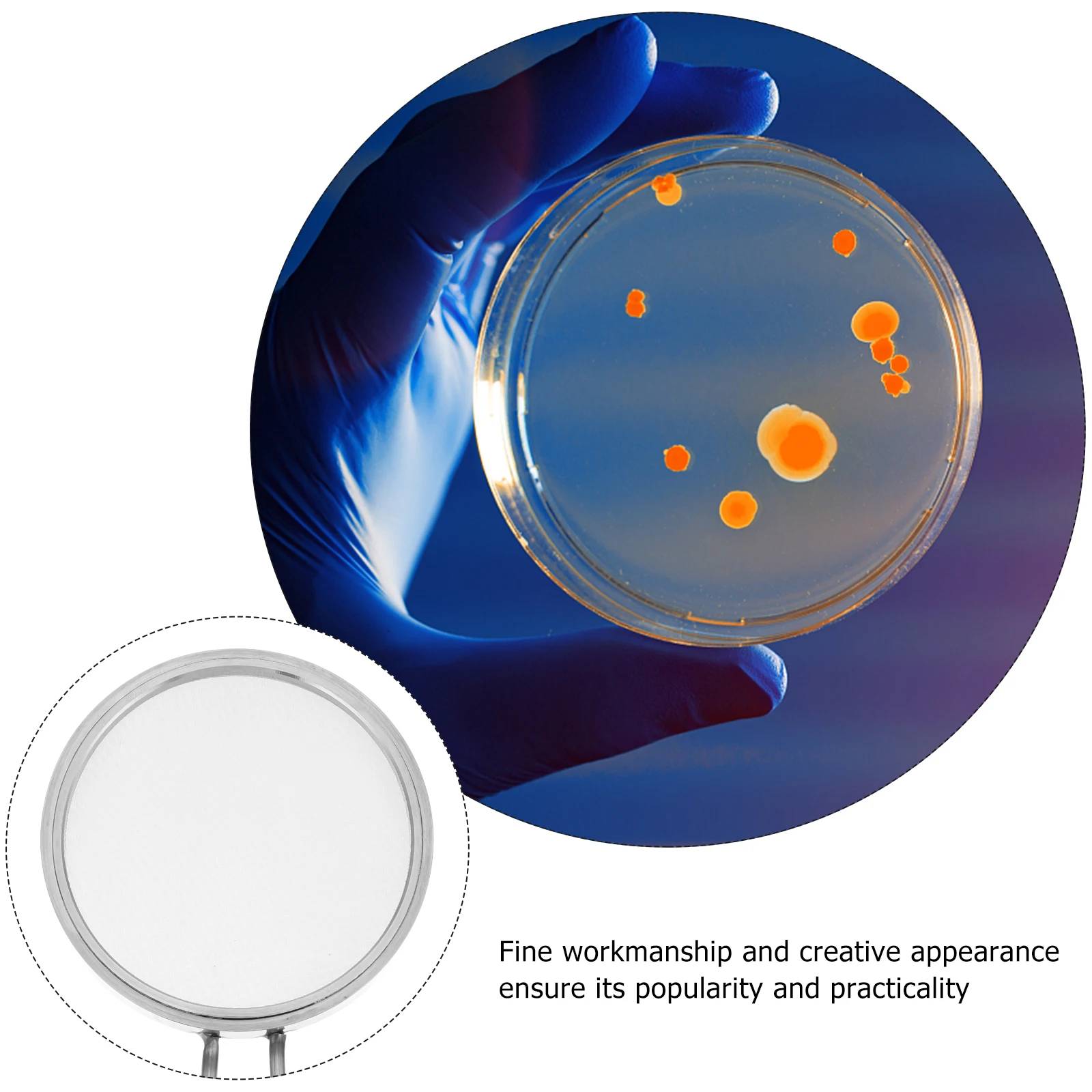 

Stainless Steel 200 Mesh Cell Strainer Lab Test Sieve Fine Workmanship Cell Filter for Flow Cytometry Sample Preparation