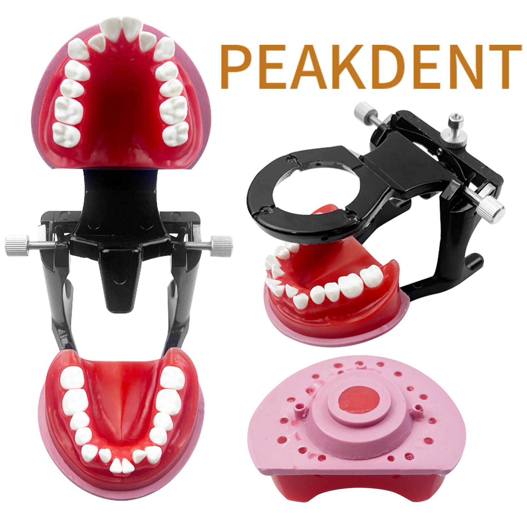 Dental Orthodontic Treatment Model Malocclusion Teeth Typodont Demonstration Tools Typodont For Dentist Teaching Study Tool