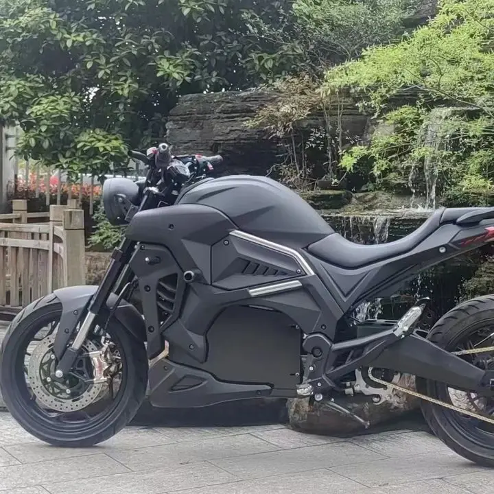 STLF Two-wheel Scooter 2026New Product Release 4000 Watt Brushless 145km/h Lithium Battery Full Suspension Waterproof Electronic