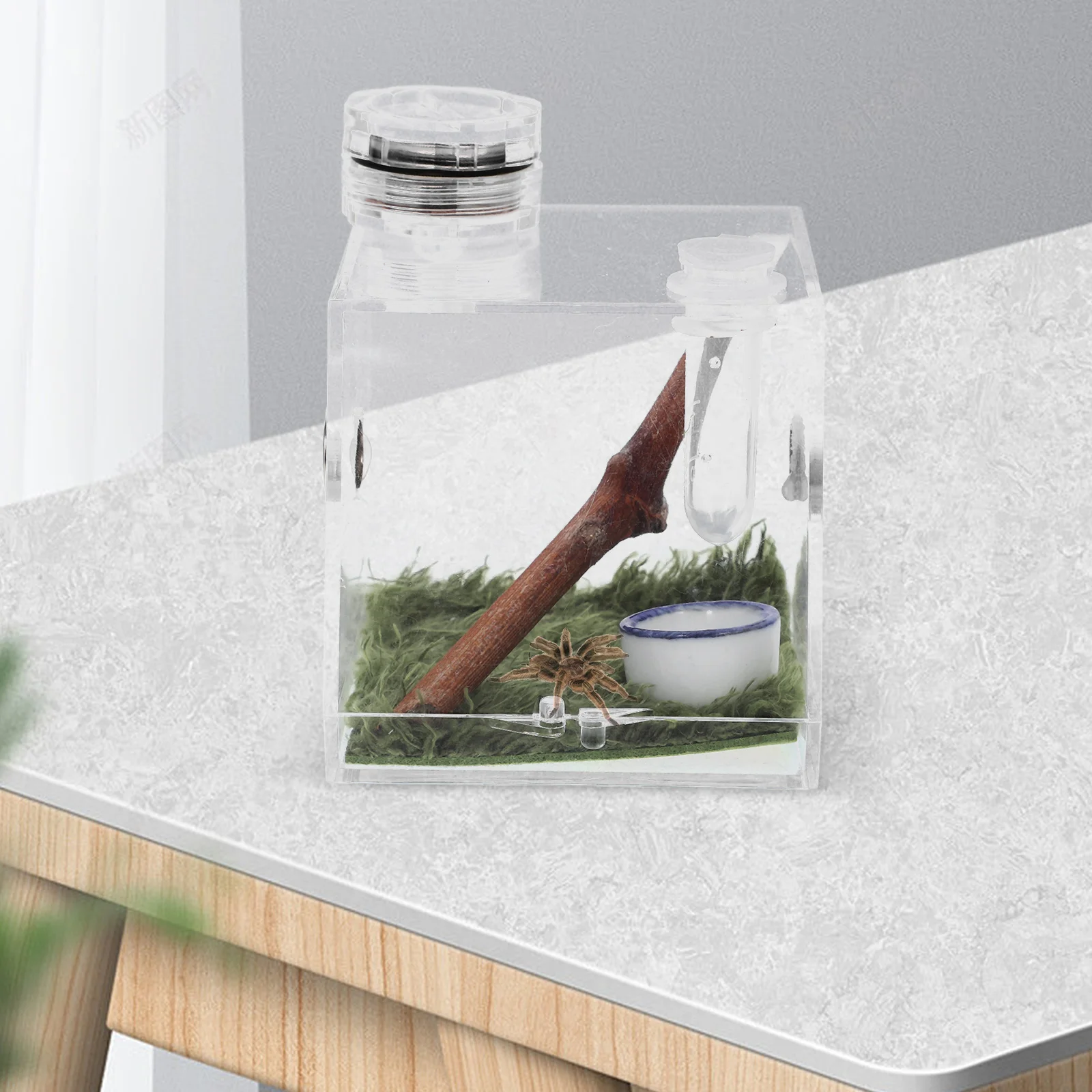 

High Transparent Jumping Spider Cage Insect Box With Humidifier Feeding Port Mini Lamp Easy Clean