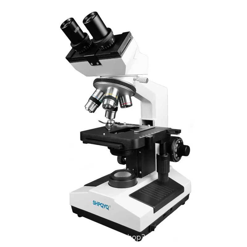 

Trinocular biological microscope, professional grade used in interactive teaching laboratories to observe microbial cells