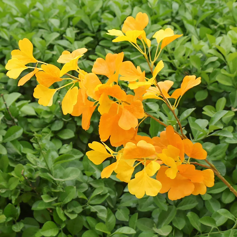 

Simulation ginkgo biloba decorative tree fake leaves branches silk flowers ficus white yellow wedding materials