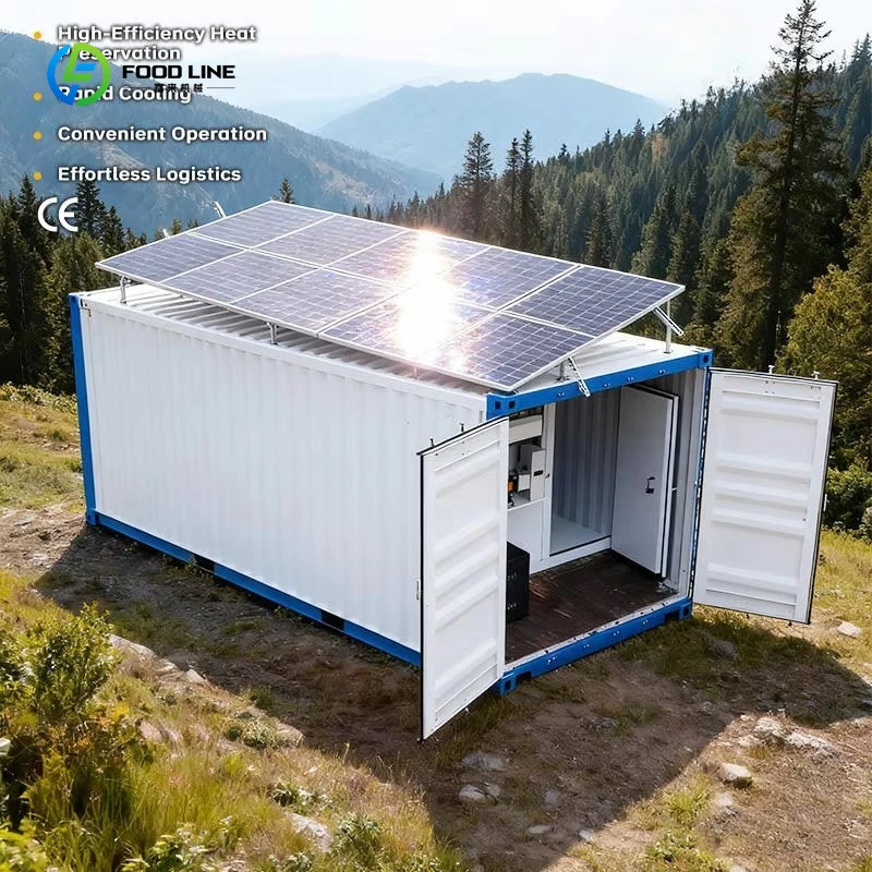 

Customized High Quality Cold Storage Room Ice Cream Cold Room Container Cold Room 40ft Solar Powered